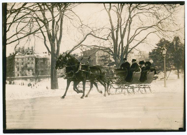 horse-drawn sleigh in snowy Central Park