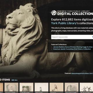 Lion home page