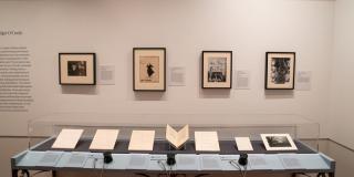 photograph of the exhibition showing several cases and items framed on a gallery wall
