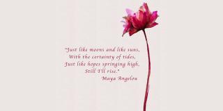 A quote by Maya Angelou alongside a watercolor painting of a single flower. 