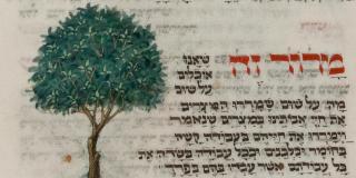 Manuscript with painted tree and calligraphic text in Hebrew.
