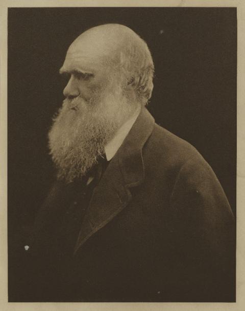 Portrait photograph of Charles Darwin